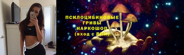 дживик Зеленокумск