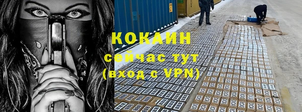 дживик Зеленокумск
