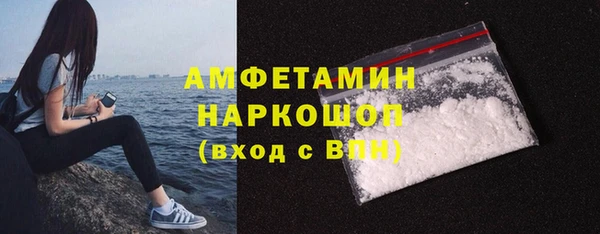 шишки Каменка