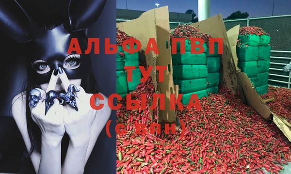 ешки Иннополис